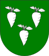 Wappen Haus Ruebfold.svg